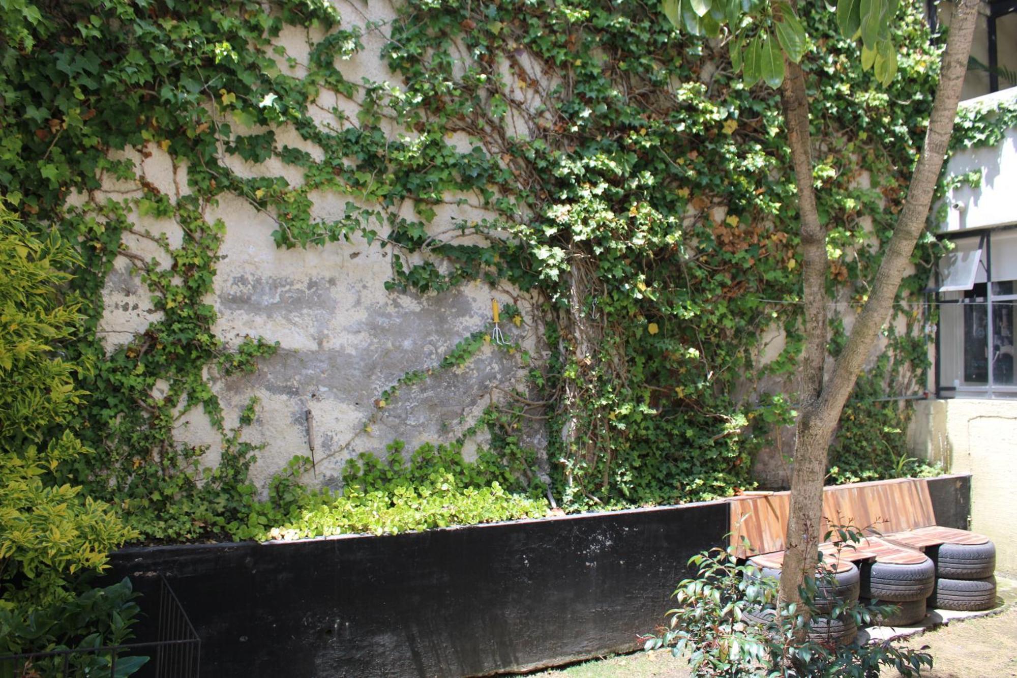 Casa De Tulia Apartment Quito Luaran gambar